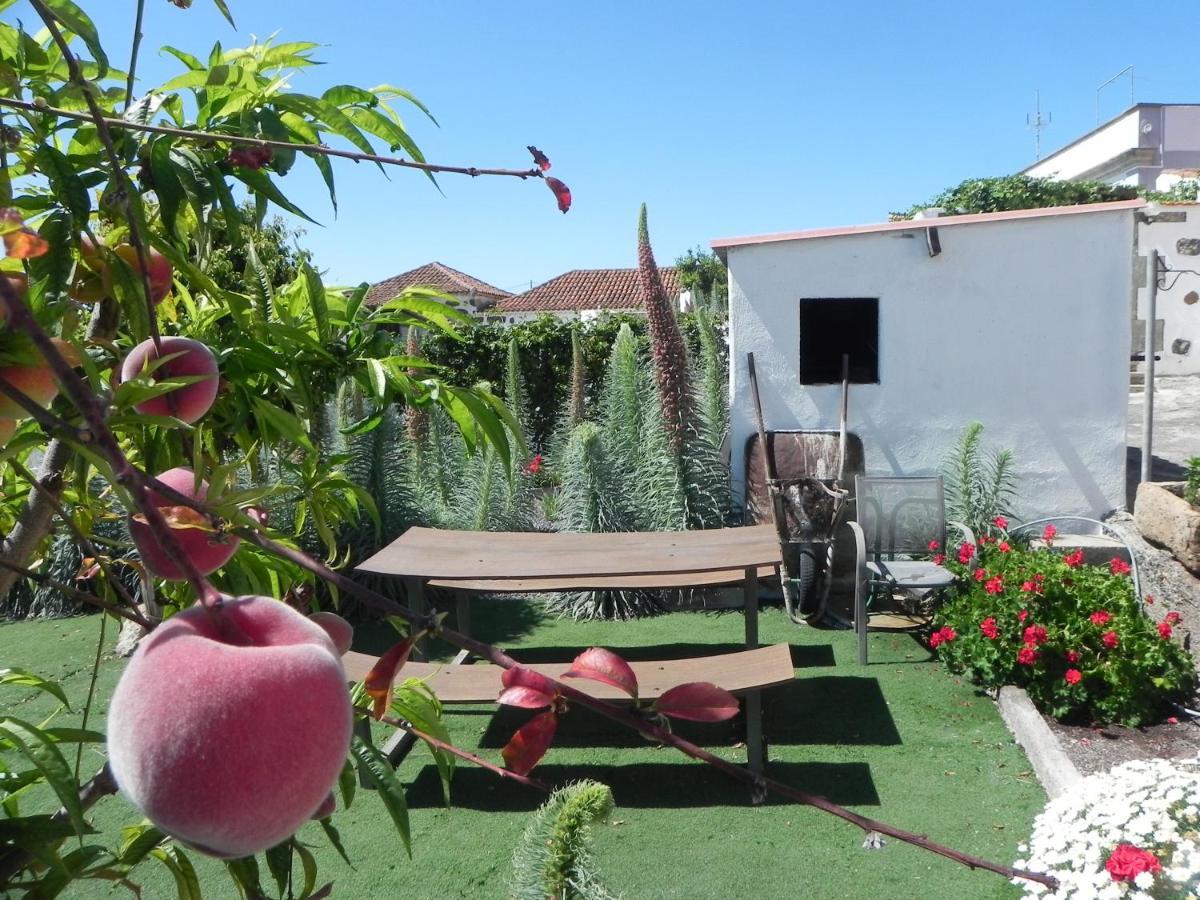 Casa Irma, Great Sea And Mountains Views, Rural House Villa Costa Adeje  Buitenkant foto