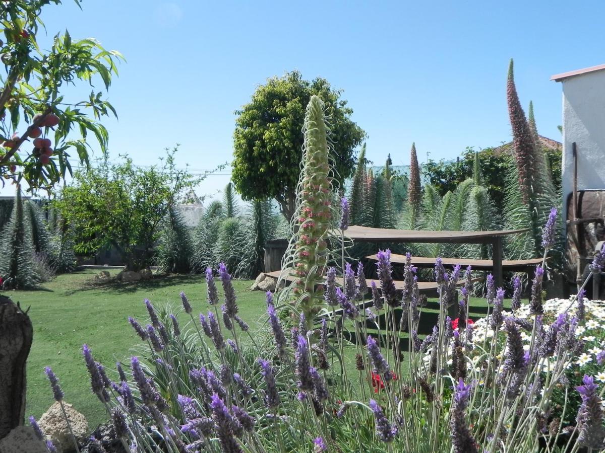 Casa Irma, Great Sea And Mountains Views, Rural House Villa Costa Adeje  Buitenkant foto